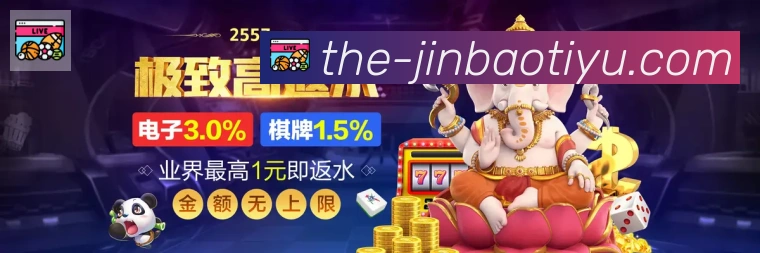 互动解说服务